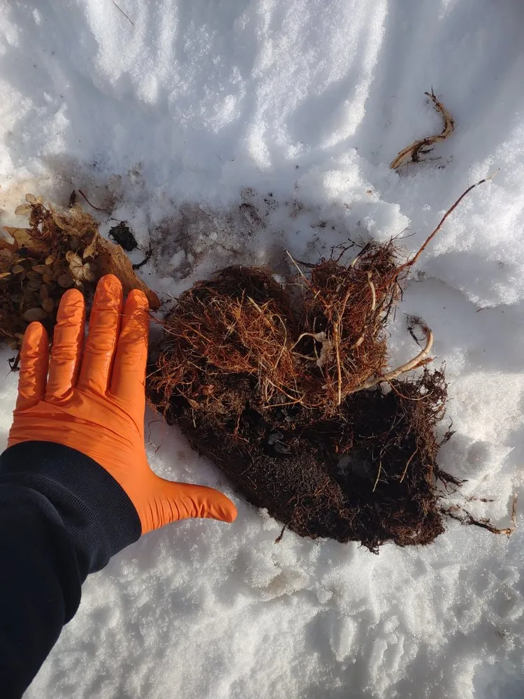 Slide of Rooter-man of Southern Maine & NH