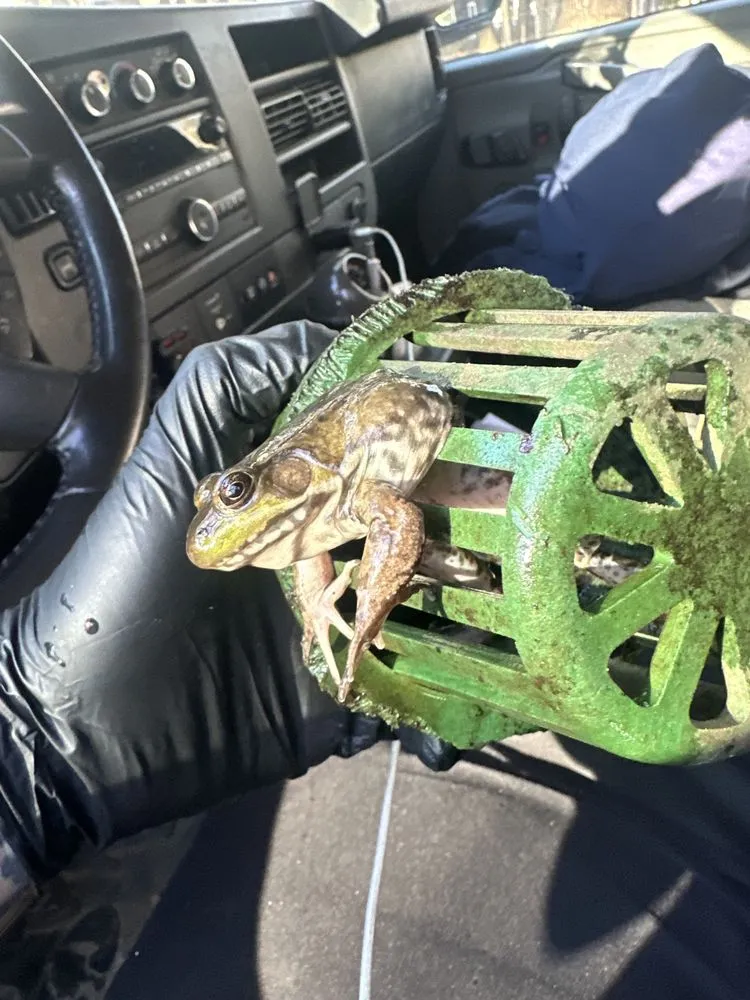 Reliable water heater service for homes in Exeter, NH by Rooter-Man of Southern Maine and New Hampshire