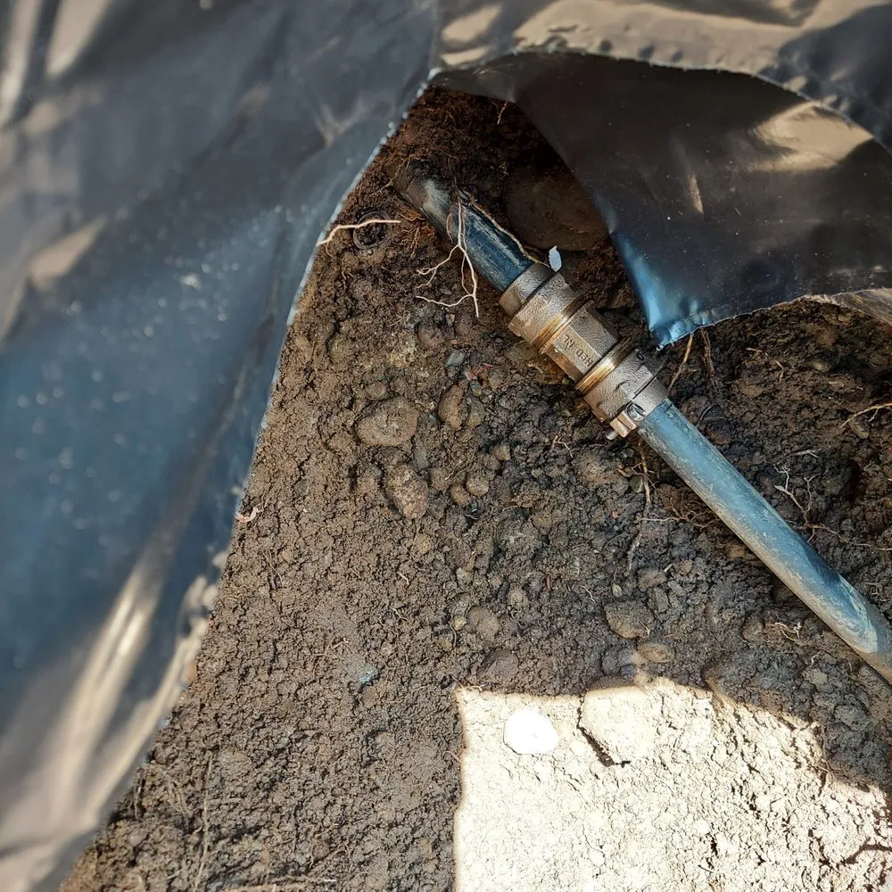 Slide of Rooter-Man of Washington