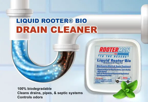 Rooter-Man of Washington Logo