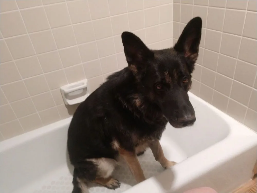 Quality drain cleaning in Truckee, CA by Rooter Man Plumbing