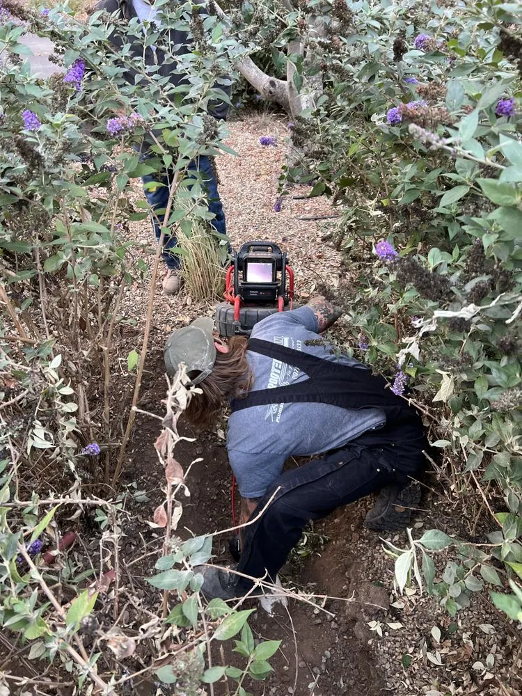 Slide of Rooter-Man Sonoma County