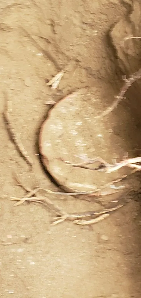 Professional emergency plumbing in North Hollywood, CA by Rooter Master Plumbing