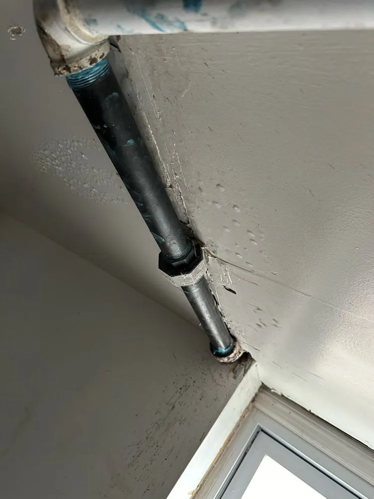 Slide of Rooter Master