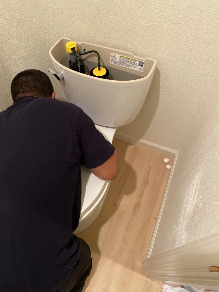 Slide of Rooter Monkey