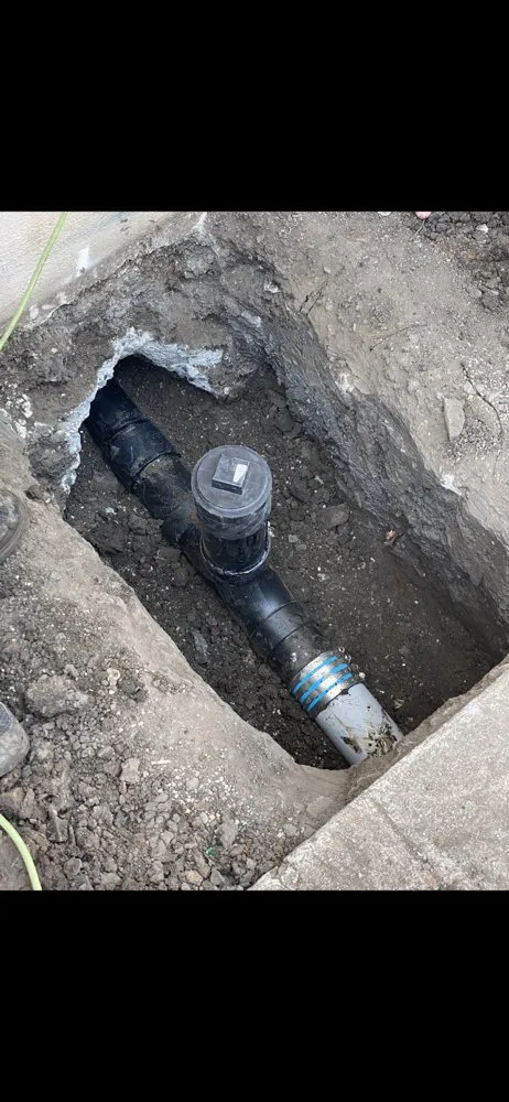 Slide of Rooter Monkey