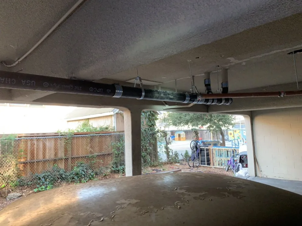 Slide of Rooter Monkey