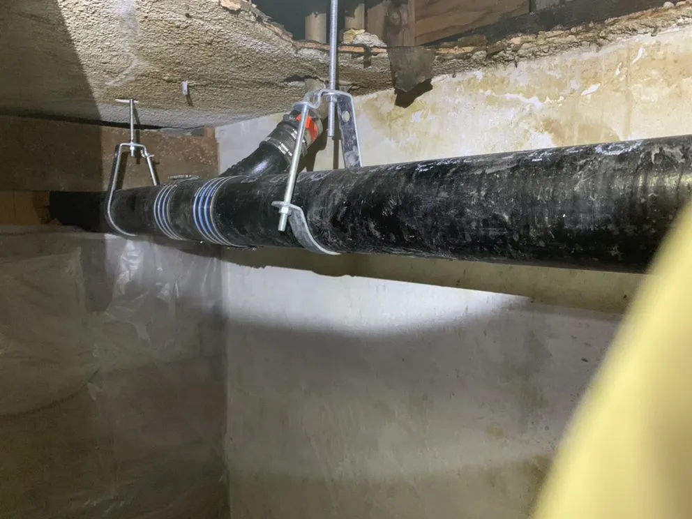 Slide of Rooter Monkey