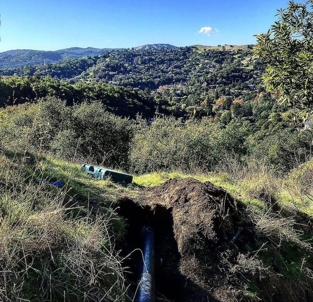 Slide of Rooter Monkey