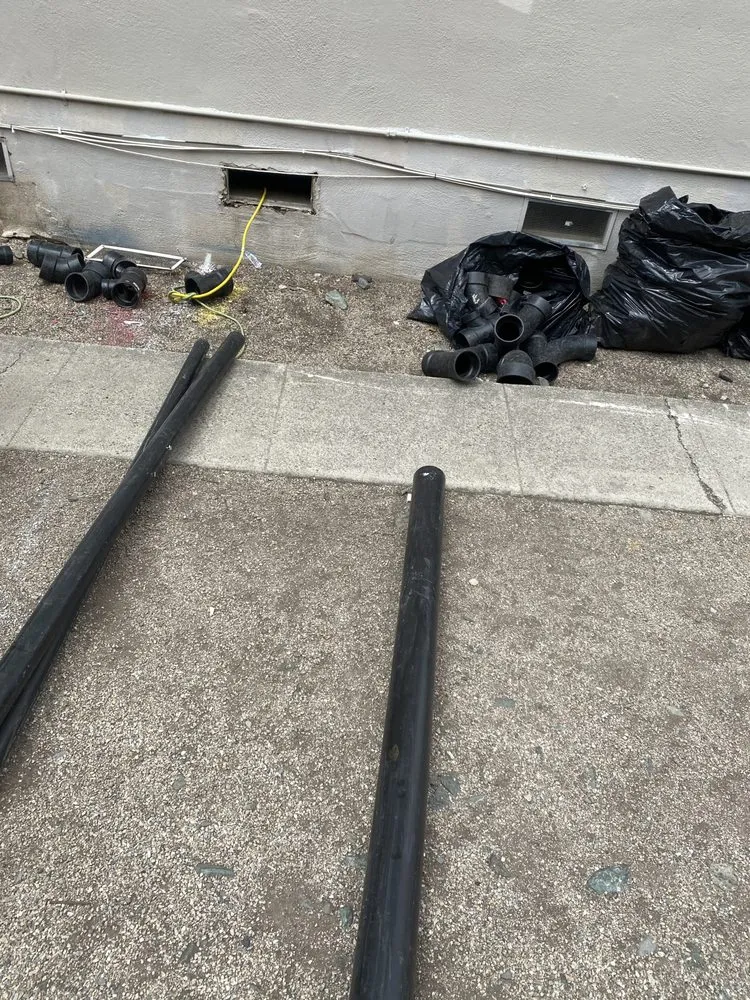 Slide of Rooter Monkey