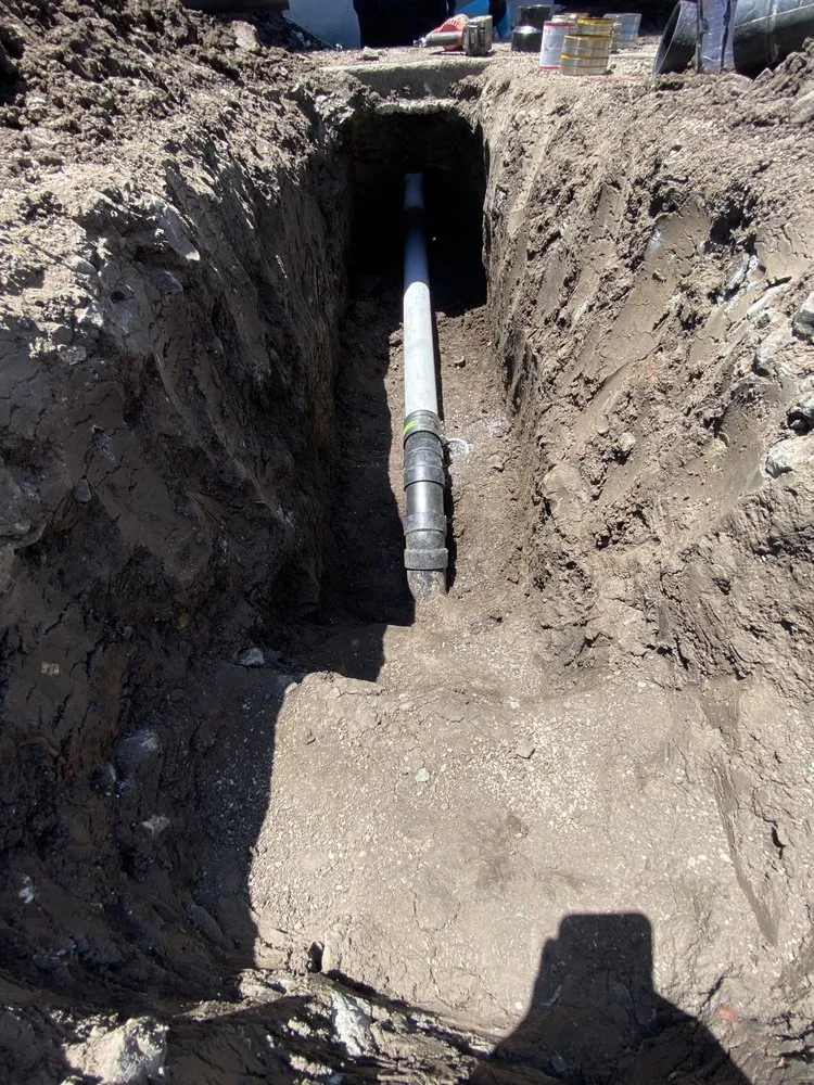 Slide of Rooter Monkey