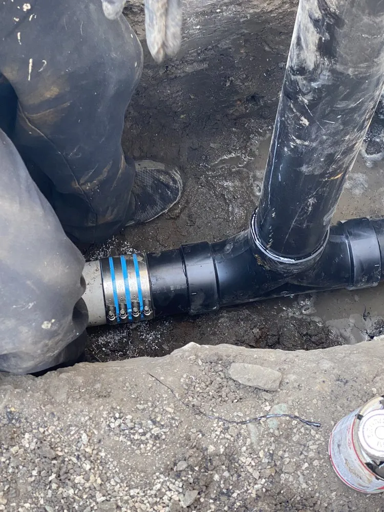 Slide of Rooter Monkey