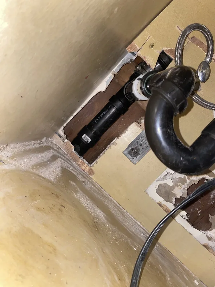 Slide of Rooter Monkey