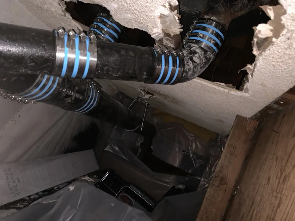 Slide of Rooter Monkey