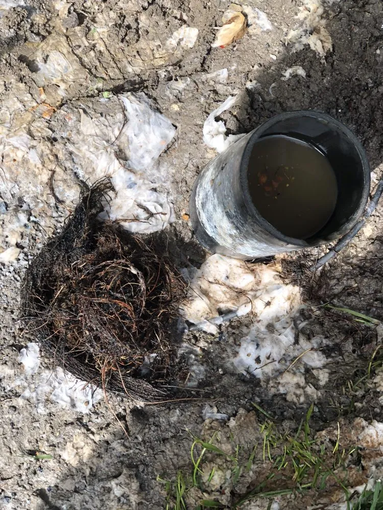 Slide of Rooter Old School Plumbing