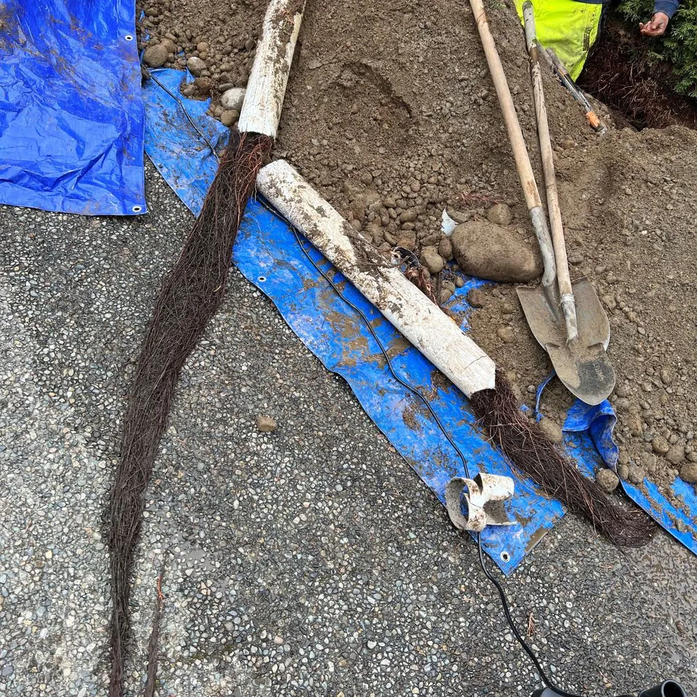 Slide of Rooter-Pal Plumbing