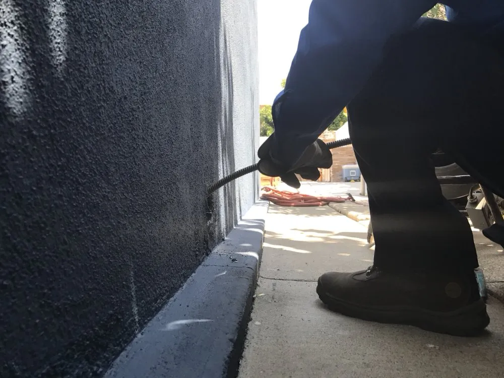 Slide of Rooter Plus