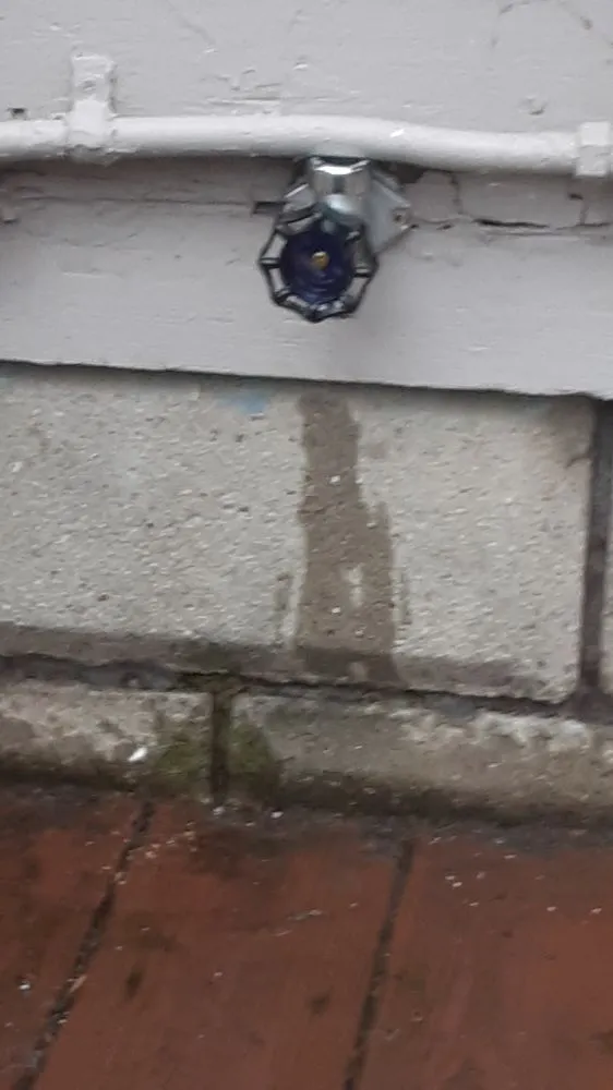 Slide of Rooter Plus