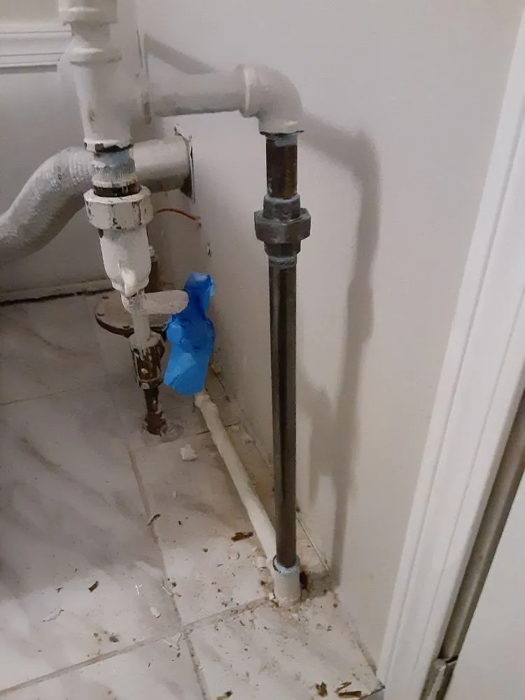 Slide of Rooter Plus