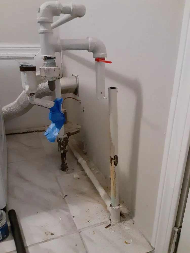 Slide of Rooter Plus