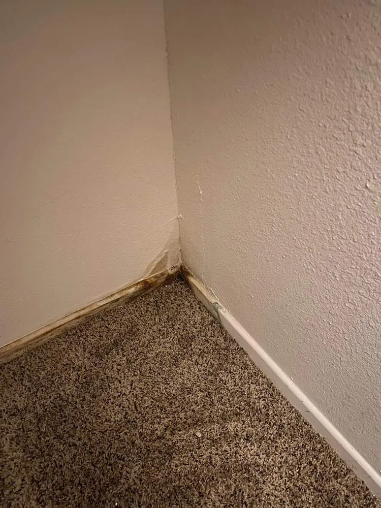 Slide of Rooter Ranger Plumbing