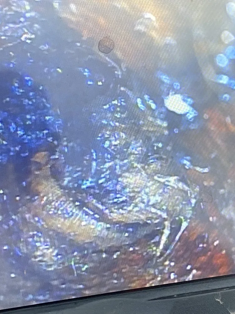 Slide of Rooter Ranger Plumbing