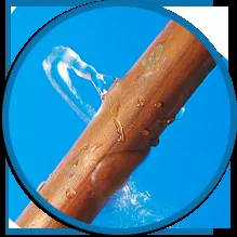 Slide of Rooter Ready