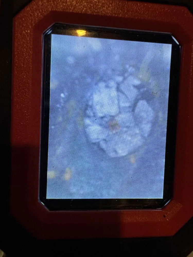 Slide of Rooter Rescue