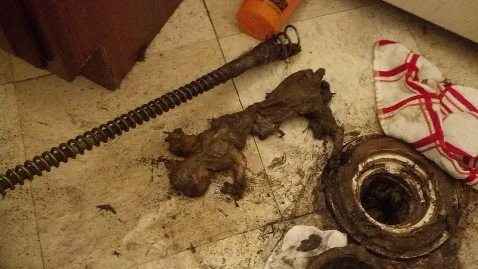 Slide of Rooter Right Plumbing & Drain