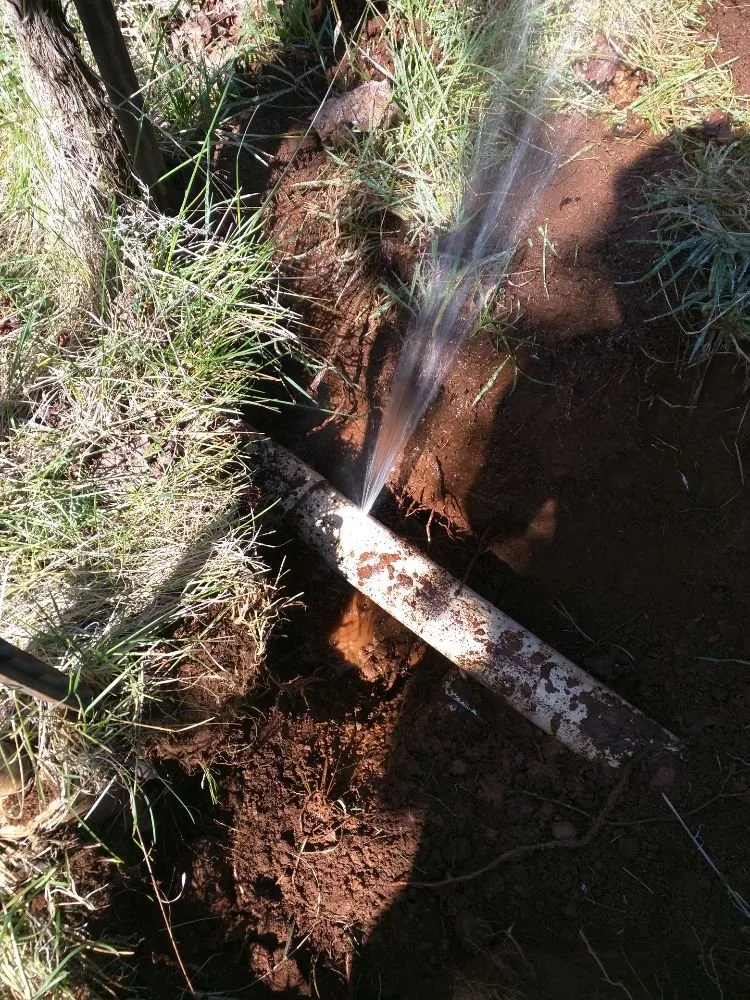 Slide of Rooter Scooter Sewer & Drain Service