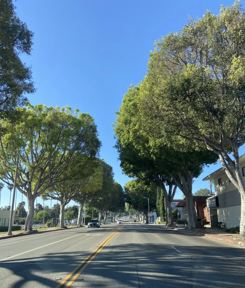 Slide of Rooter Service