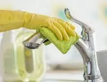 Slide of Rooter Shark