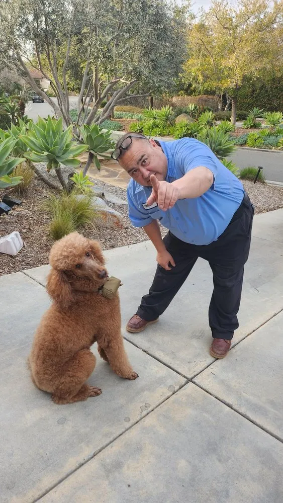 Slide of Rooter Solutions Plumbers