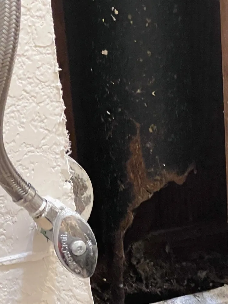 Trusted drain cleaning service in San Diego, CA - Rooter Solutions Plumbers