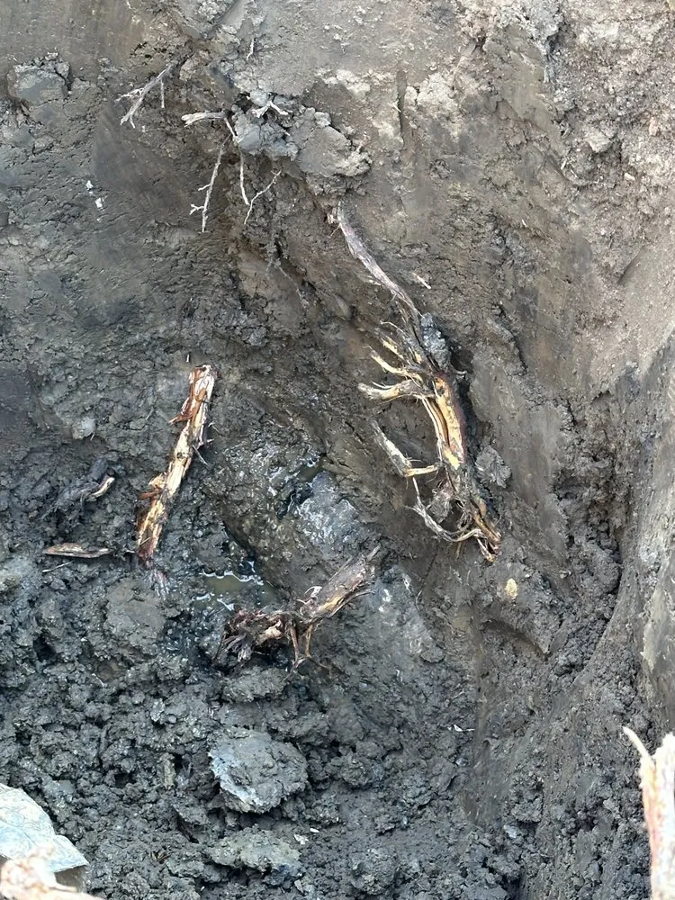 Slide of Rooter Solutions