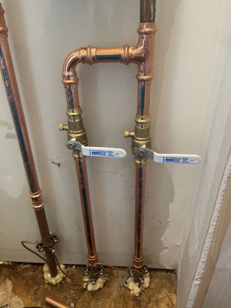 Slide of Rooter Street