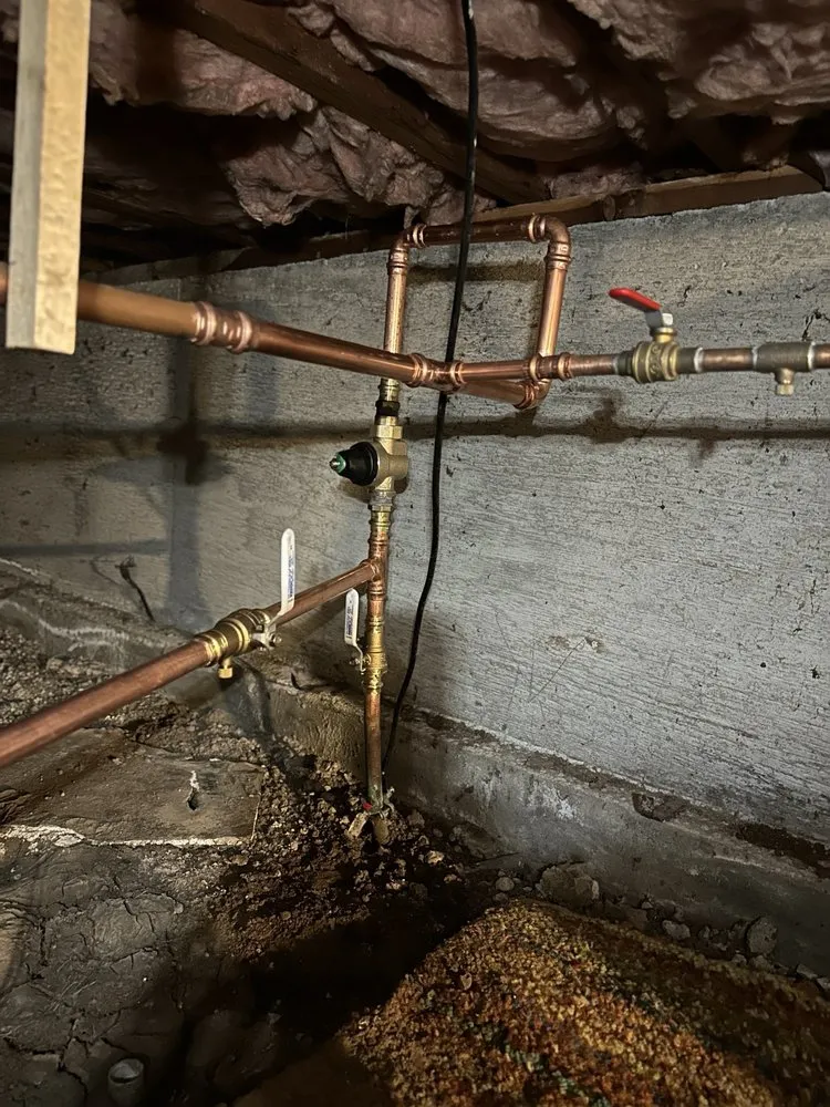 Slide of Rooter Street