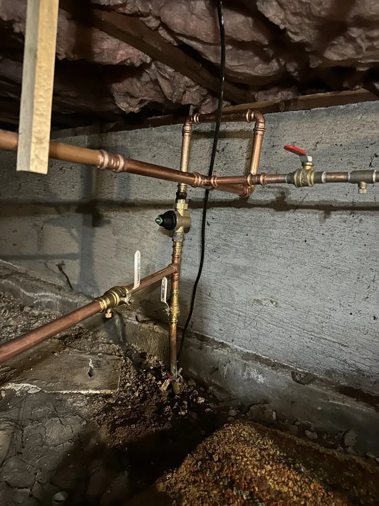 Slide of Rooter Street