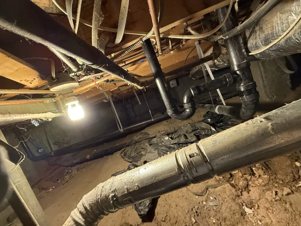 Slide of Rooter Street