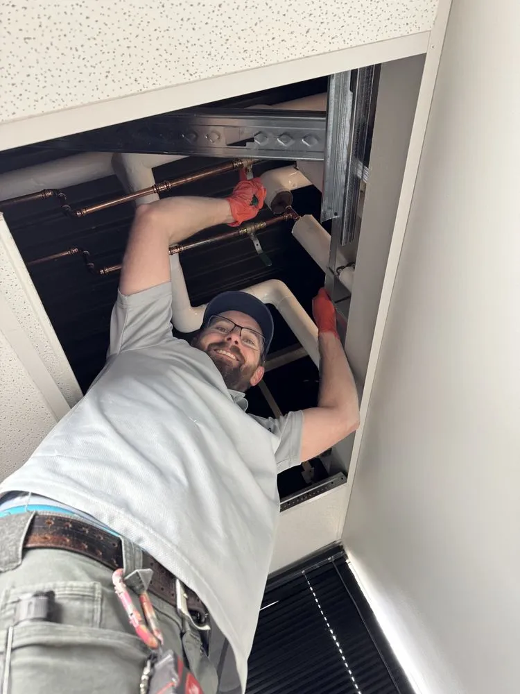 Slide of Rooter Street