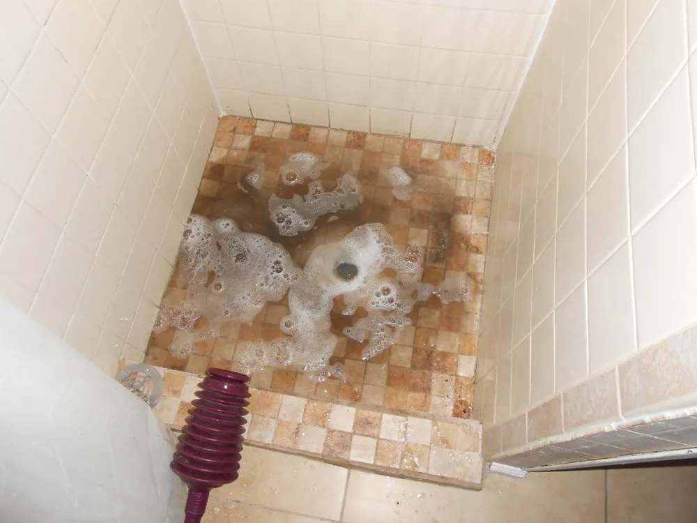 Slide of Rooter Town