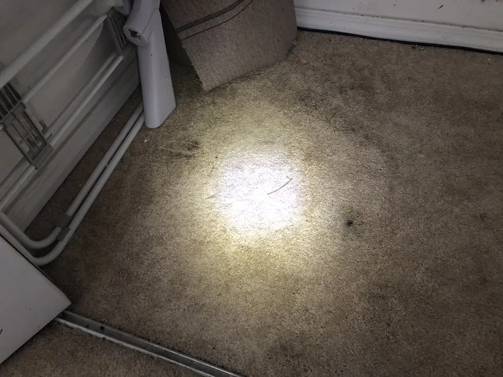 Slide of Rooter Town