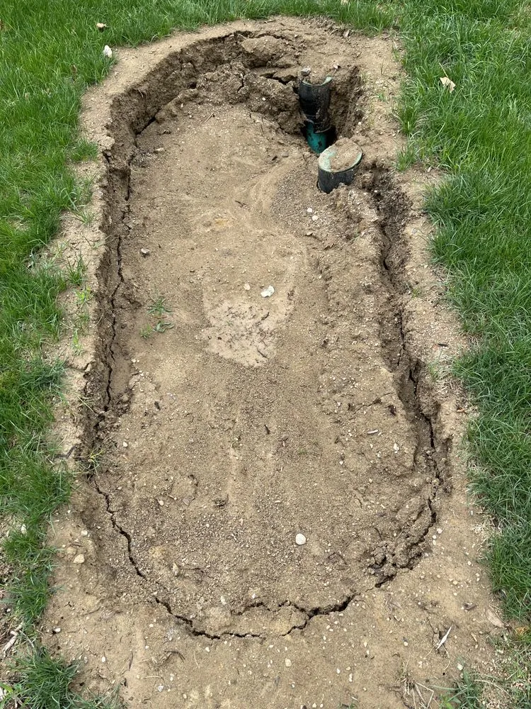 Slide of Rooter Town