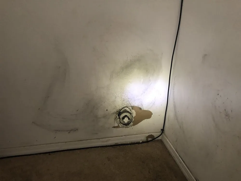 Slide of Rooter Town