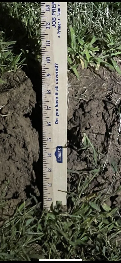 Slide of Rooter Town