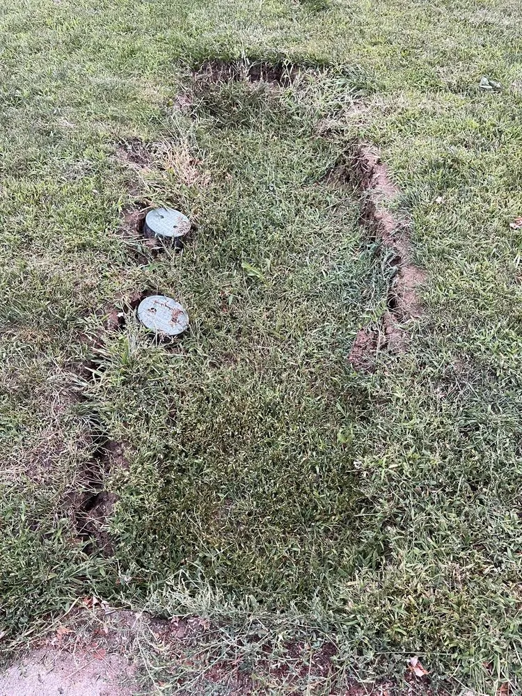 Slide of Rooter Town