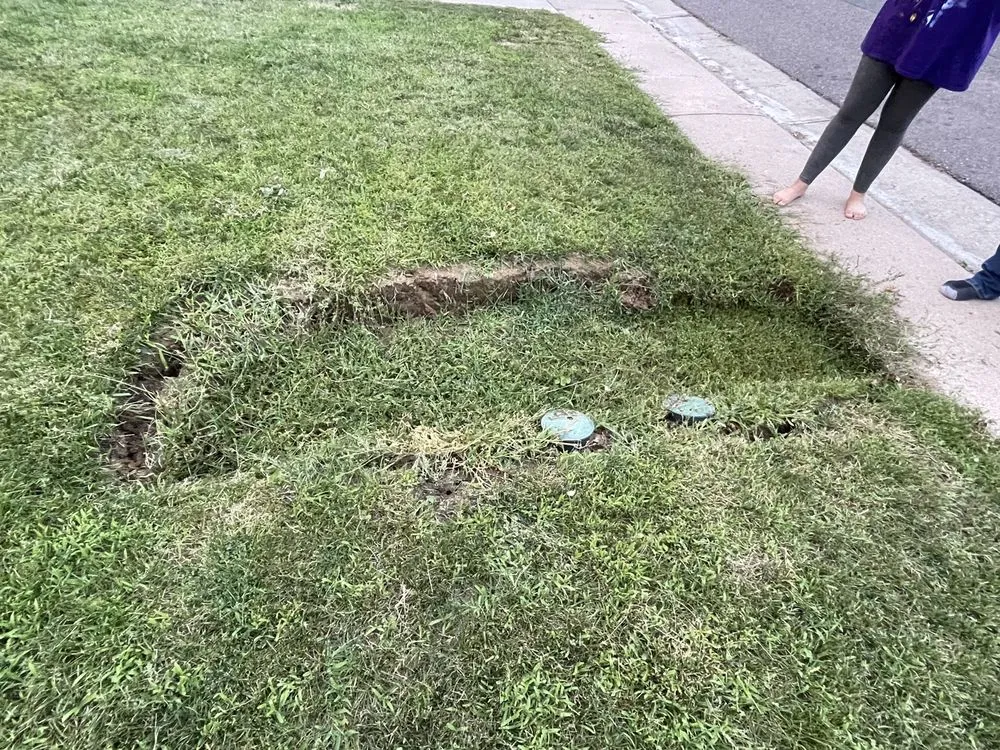 Slide of Rooter Town