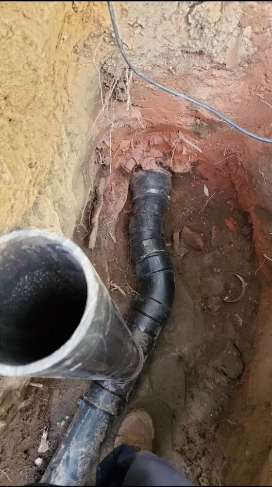 Slide of Rooter Wrangler