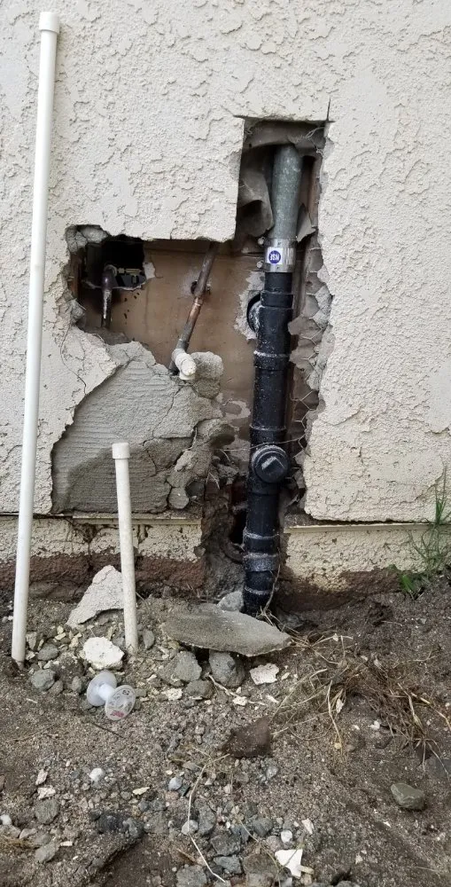 Slide of Rooter Wrangler