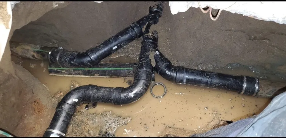 Slide of Rooter Wrangler